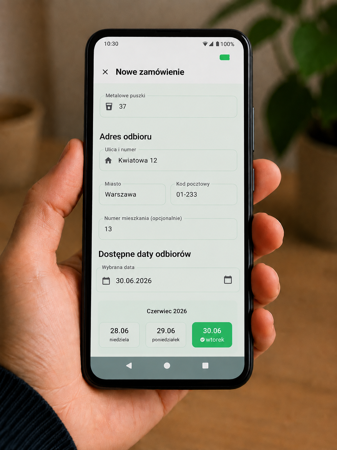 App interface preview
